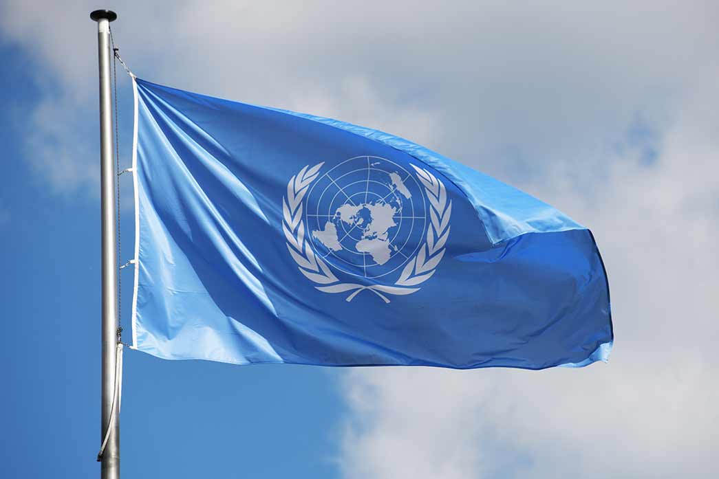 L'emblème et le drapeau de l'ONU
